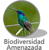 Antologia de Biodiversidad